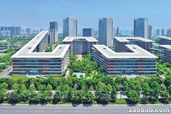 全球揽才力度加码 成都吸引创客扎堆安逸“蓉漂”